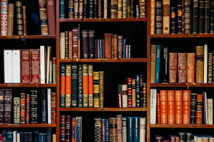 3. Sınıf İngilizce Yaprak Test PDF